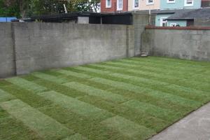 View 1 from project Natural grass lawns